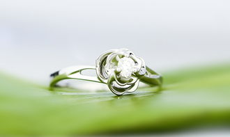 如何选择求婚钻戒：从钻石品质到品牌服务的全面指南